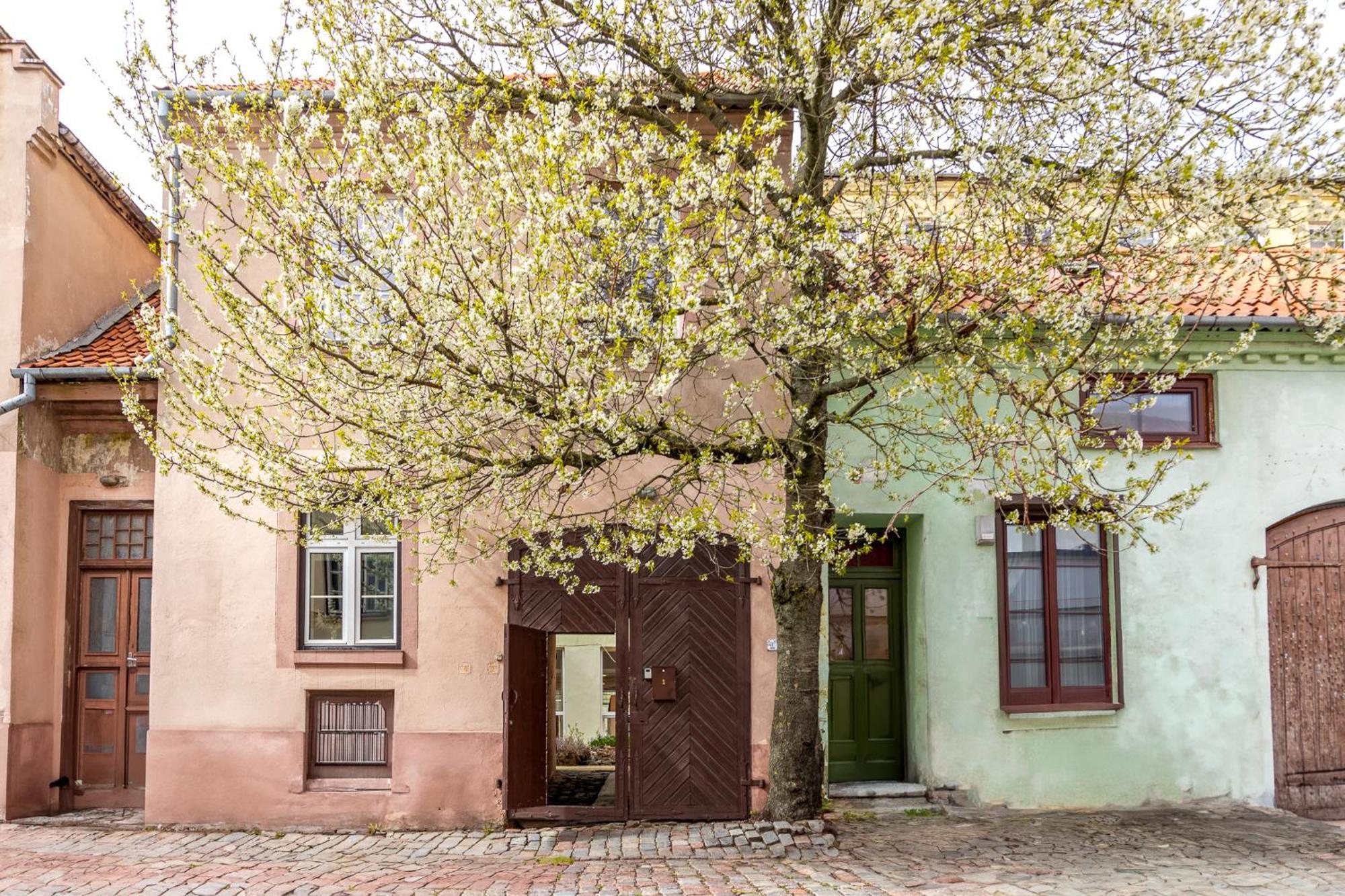 In The Heart Of The Old Town Vip Apartment Klaipeda Exterior photo